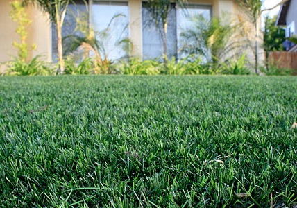 Eco turf artificial grass